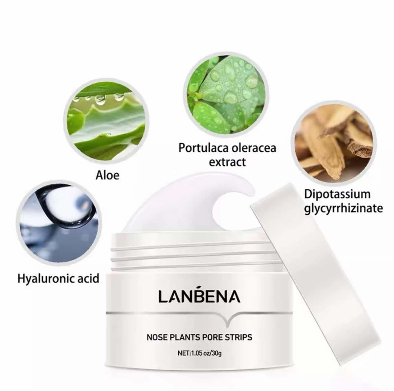 LANBENA NOSE PLANTS PORE STRIPS